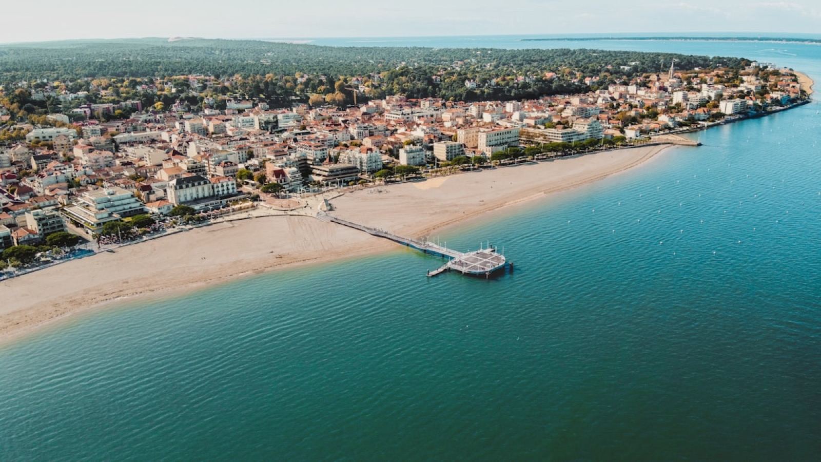 Le Teich — Vue aérienne Bassin d'Arcachon